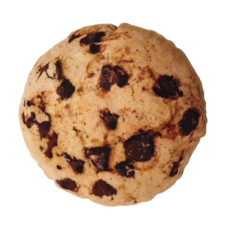 Bone Beef Shape Pet Dog Squeaker Toys for - ProPawPet.com