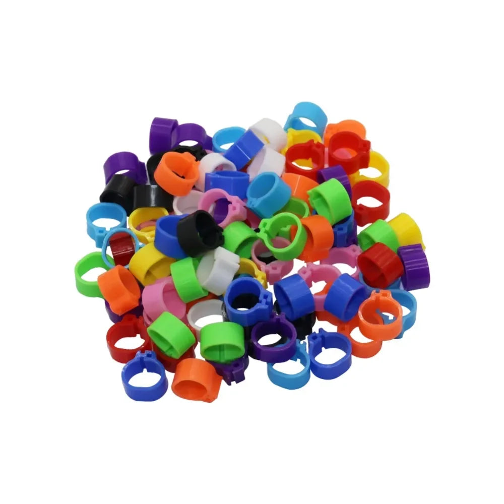 Multicolor Pigeons Rings 10mm Bayonet - ProPawPet.com