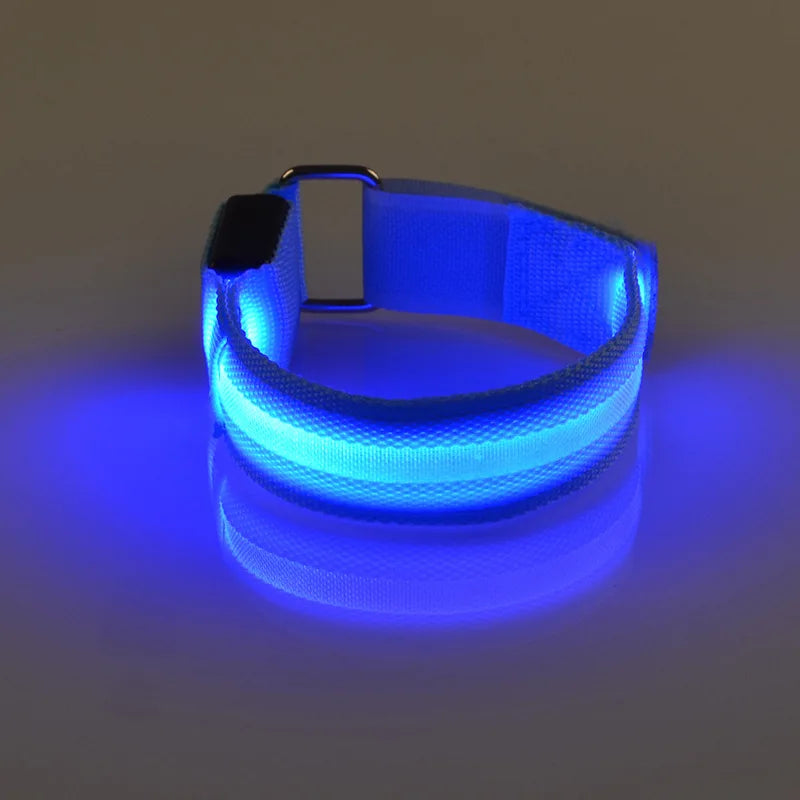 4pcs Equestrian Supply LED Luminous Horse - ProPawPet.com