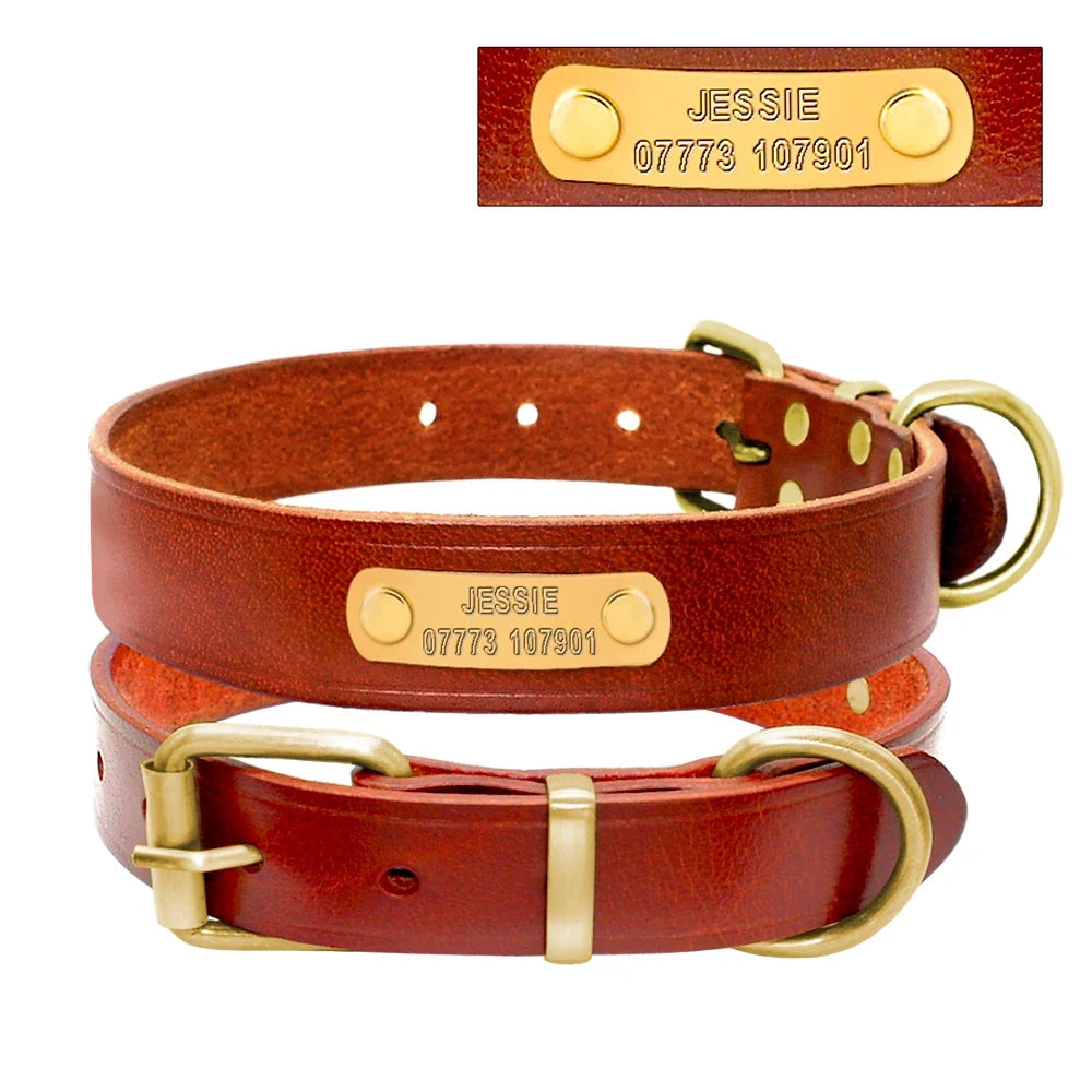 Personalized Dog ID Collar Leather Small Medium Cat – 4 Sizes