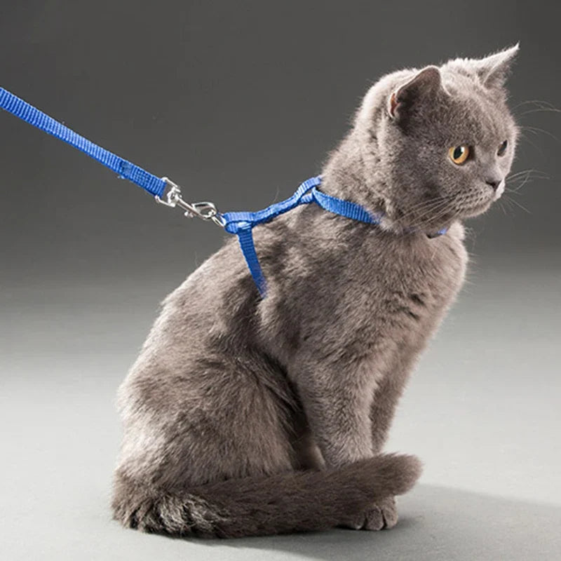 5 Color Adjustable Cat Collar for Cozy Nylon Rabbit Kitten – photo 2