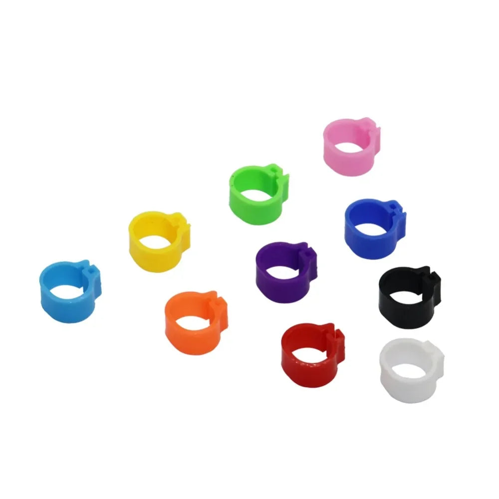 Multicolor Pigeons Rings 10mm Bayonet - ProPawPet.com