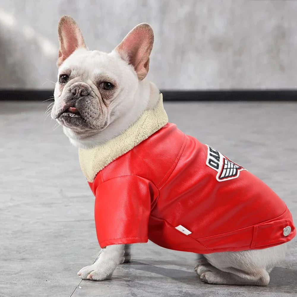 Cool Dog Leather Jacket Coat Warm Winter Pet - ProPawPet.com