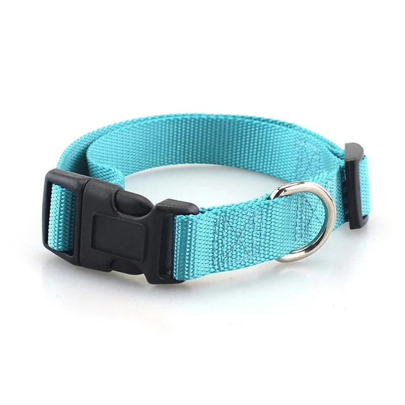 Adjustable Superior Nylon Dog Collar Heavy - ProPawPet.com