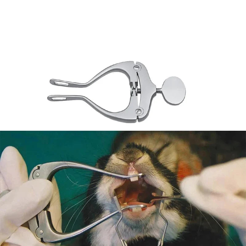 1PCS Lab Experiment Rodent Rat Rabbit Totoro - ProPawPet.com