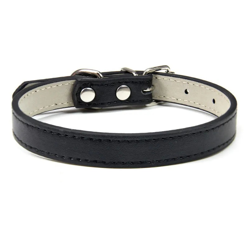 1PC Popular Adjustable Colorful Pet Collars - ProPawPet.com