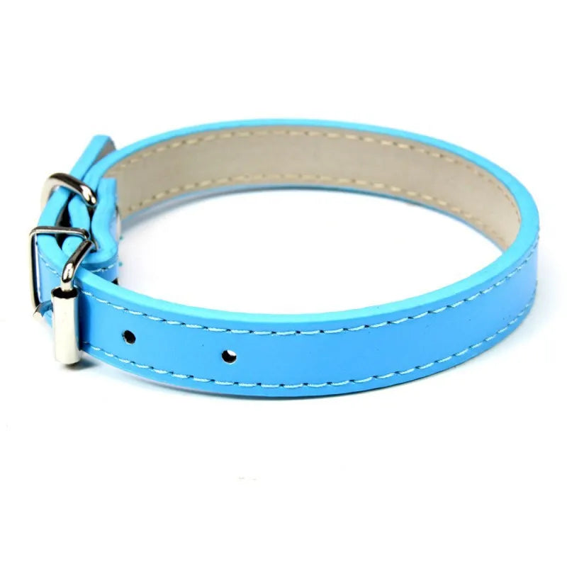 1PC Popular Adjustable Colorful Pet Collars - ProPawPet.com