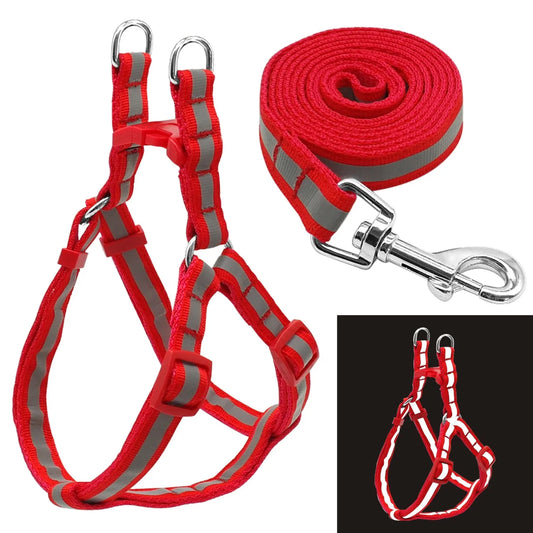 Reflective Nylon Dog Harness and Leash Set - ProPawPet.com
