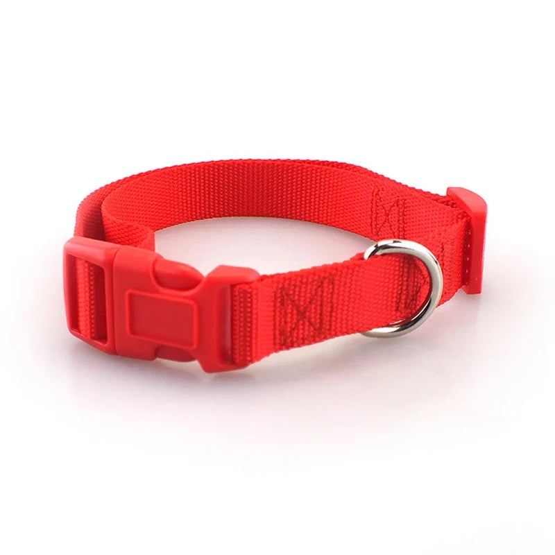 Adjustable Superior Nylon Dog Collar Heavy - ProPawPet.com