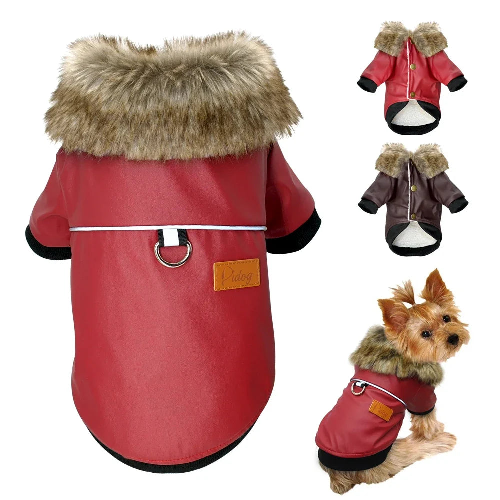 Cool Dog Leather Jacket Coat Warm Winter Pet - ProPawPet.com