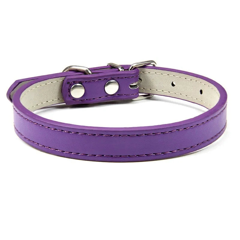 1PC Popular Adjustable Colorful Pet Collars - ProPawPet.com