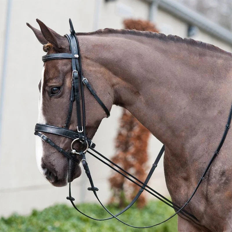 NEW 3M Horse Riding Bridle Halters Elastic - ProPawPet.com