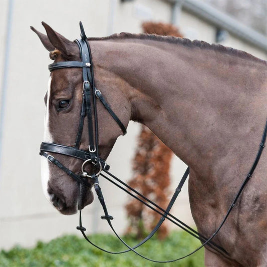 NEW 3M Horse Riding Bridle Halters Elastic - ProPawPet.com
