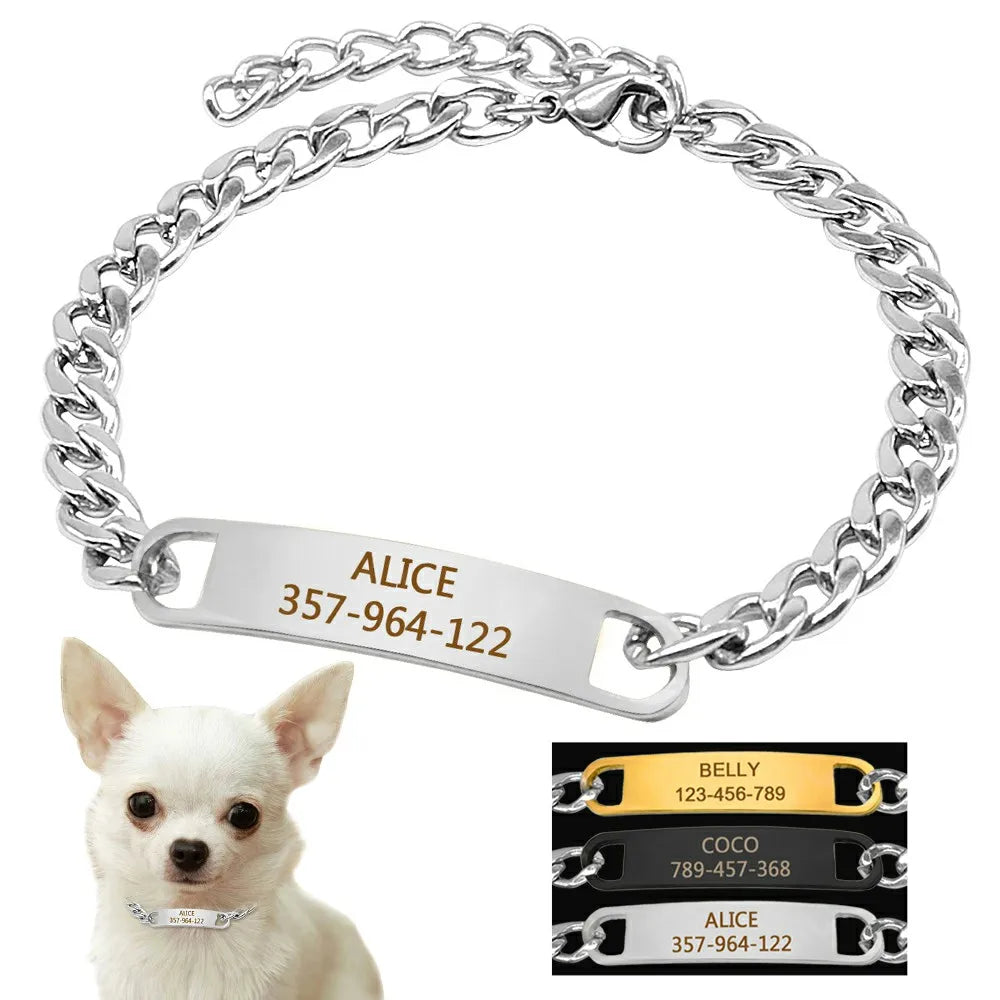 Customized Cat Chain Collar Free Engraved - ProPawPet.com