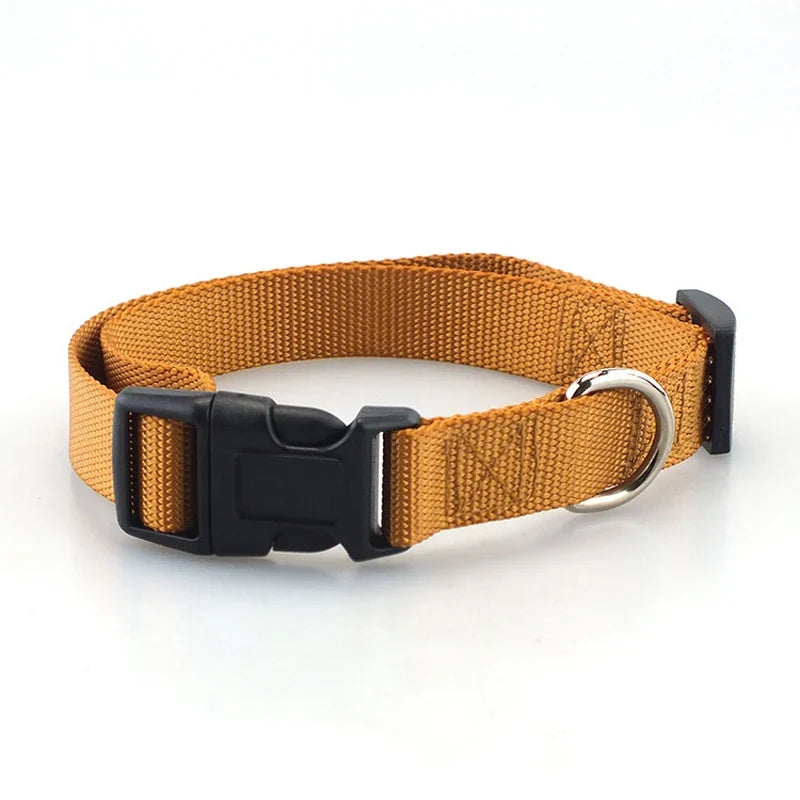 Adjustable Superior Nylon Dog Collar Heavy - ProPawPet.com