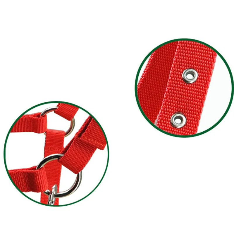High density PP Weaving Halter Thickened - ProPawPet.com