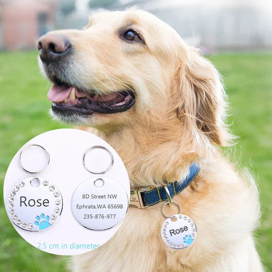 Free Engraving Personalized Pet Cat Name - ProPawPet.com
