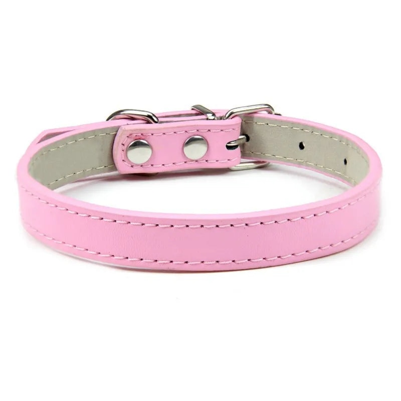 1PC Popular Adjustable Colorful Pet Collars - ProPawPet.com