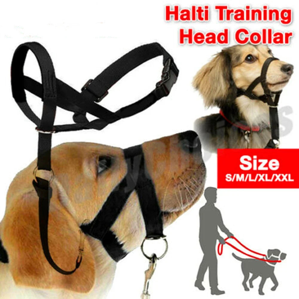 New Nylon Dog Muzzle Dogalter Dog Halter - ProPawPet.com