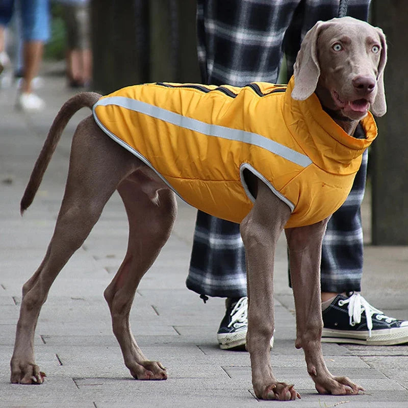 Reflective Pet Dog Clothes for Large Dogs - ProPawPet.com