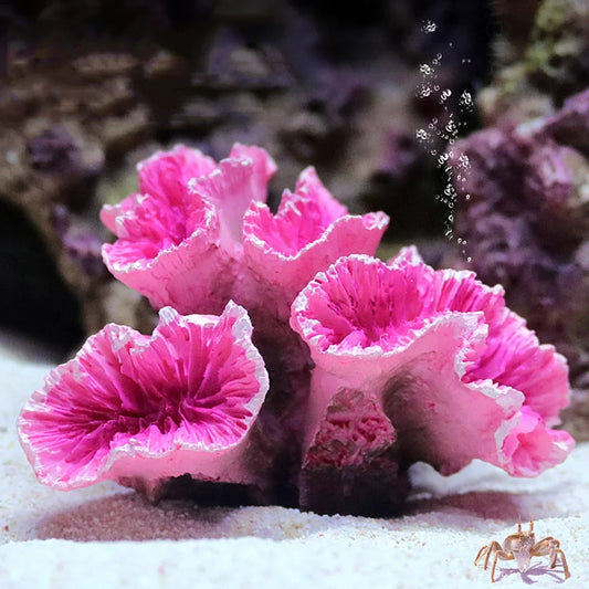 Resin Coral Reef Aquarium Ornaments Fish - ProPawPet.com