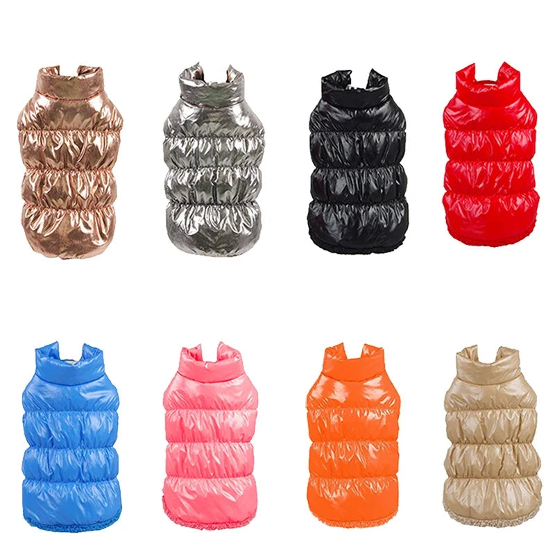 Classis Pet Dog Down Jacket for Small Dogs - ProPawPet.com