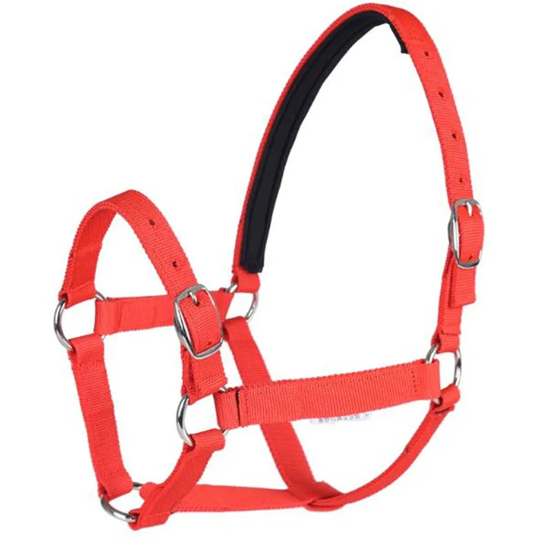 Cavassion Directly Sale Anti-friction - ProPawPet.com