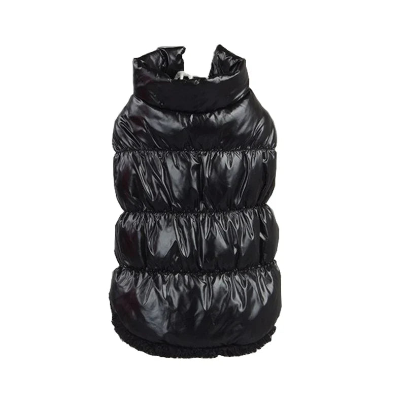 Classis Pet Dog Down Jacket for Small Dogs - ProPawPet.com