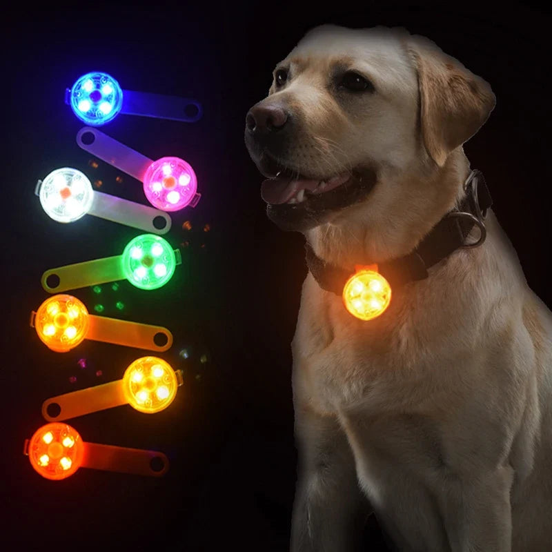 LED Pet Dog Cat Collar Pendant Night Safety - ProPawPet.com