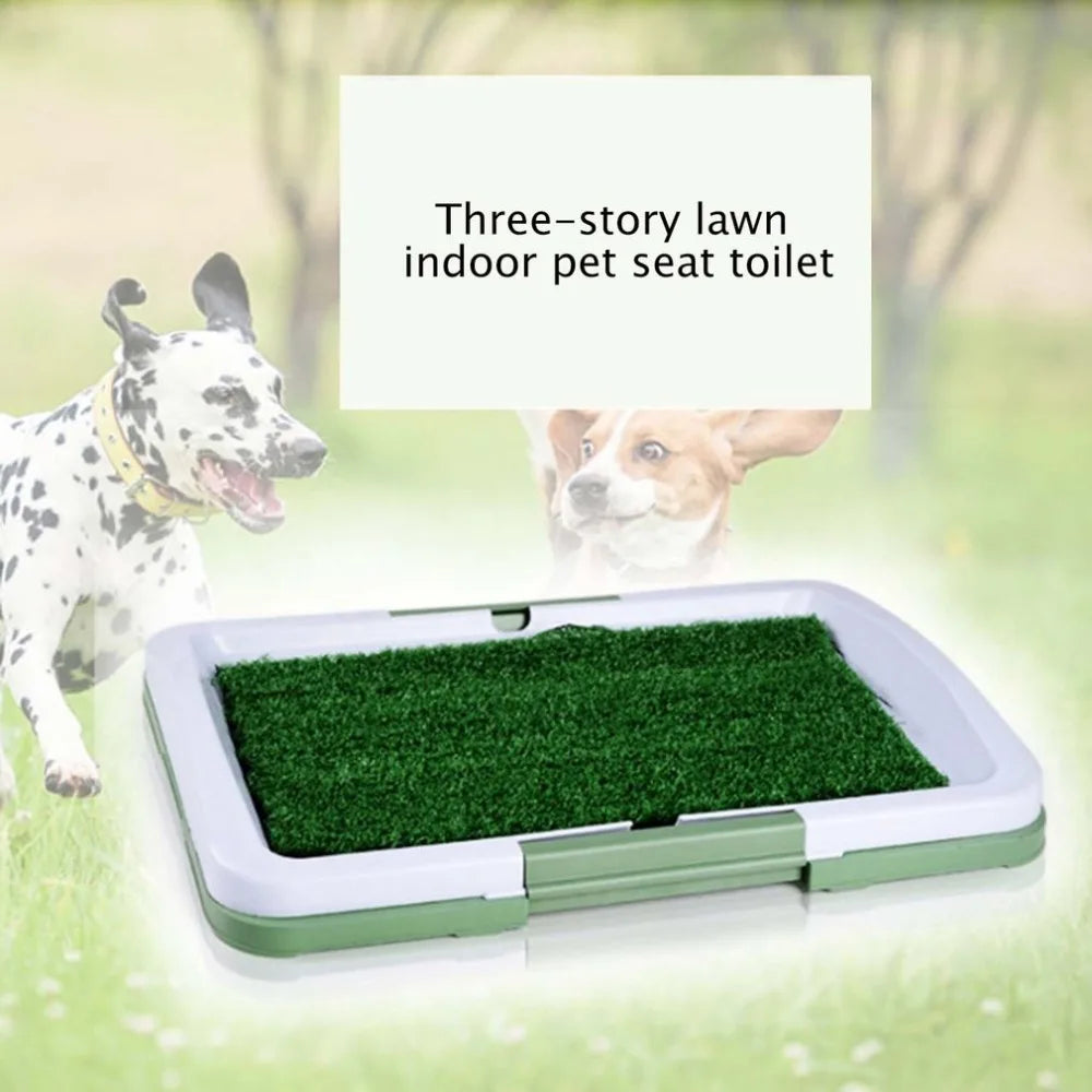 3 Layers Large Dog Pet Potty Training Pee - ProPawPet.com