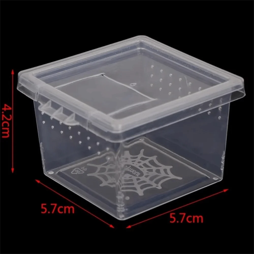 Clear Plastic Reptile Living Box Insect Rearing Food Feeding – 3 Colors