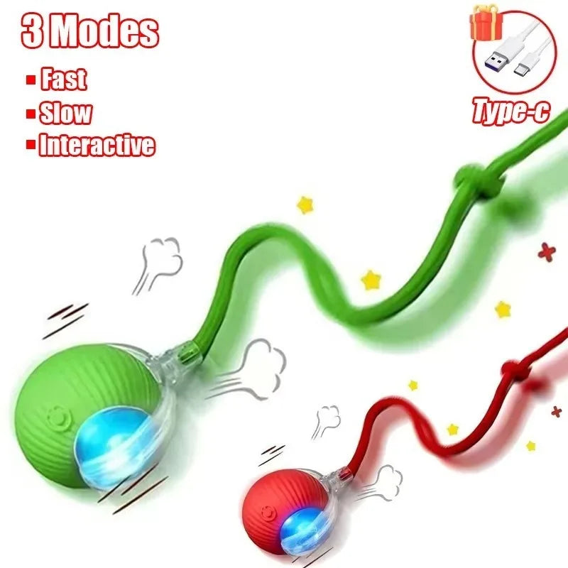 Indoor Interactive Birds Toy for Cat Chasing - ProPawPet.com