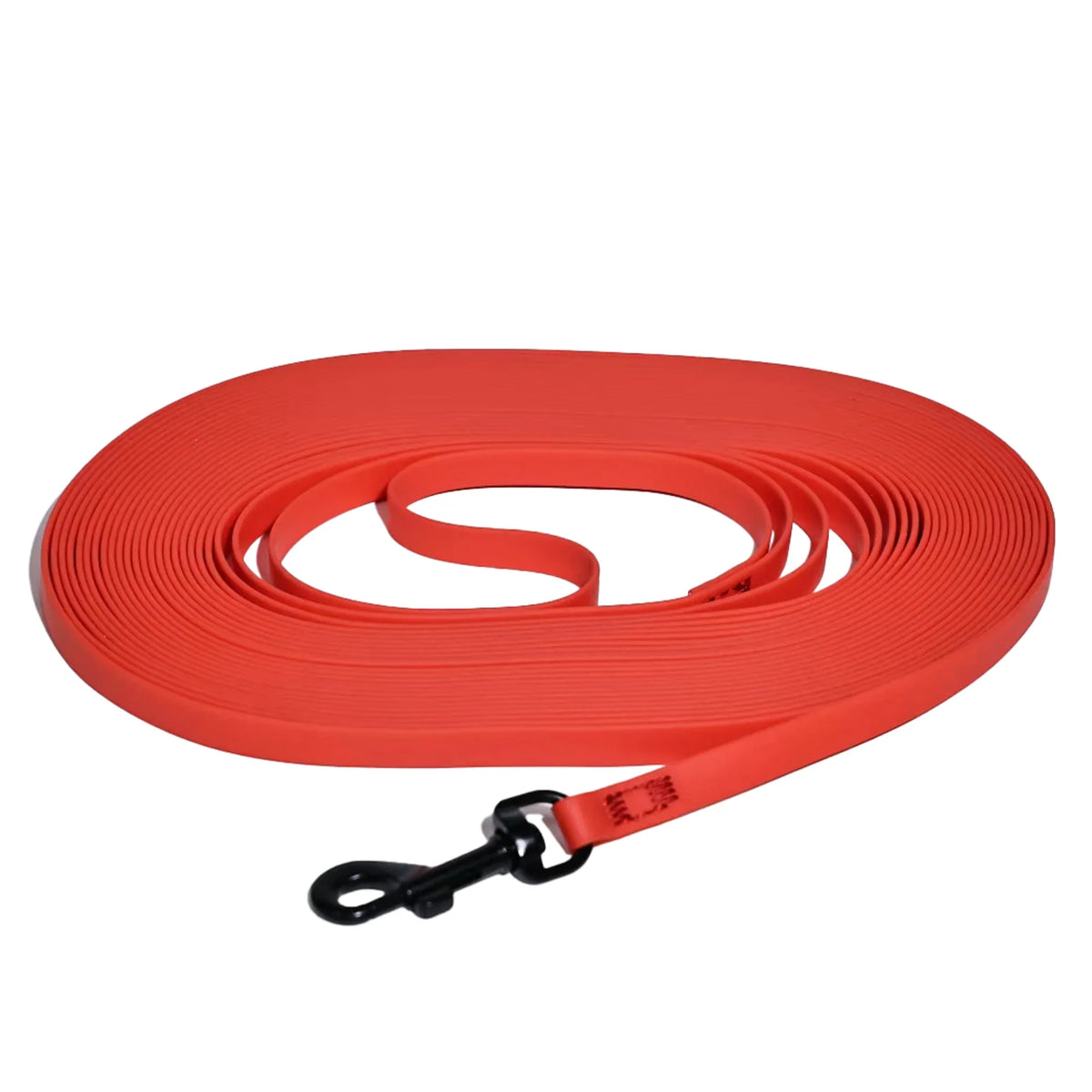 Waterproof PVC Long Cat Training Leash - ProPawPet.com