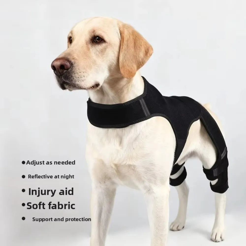 Adjustable Dog Rear Leg Brace Reflective - ProPawPet.com