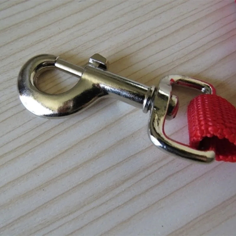 Horse Rope Leading Rope Multi-Color Small - ProPawPet.com