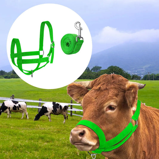 Nylon Cow Halter Calf Halters Wide Training - ProPawPet.com