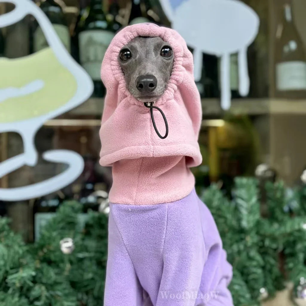 Dog Clothes for Italian Greyho with Hat Pure - ProPawPet.com