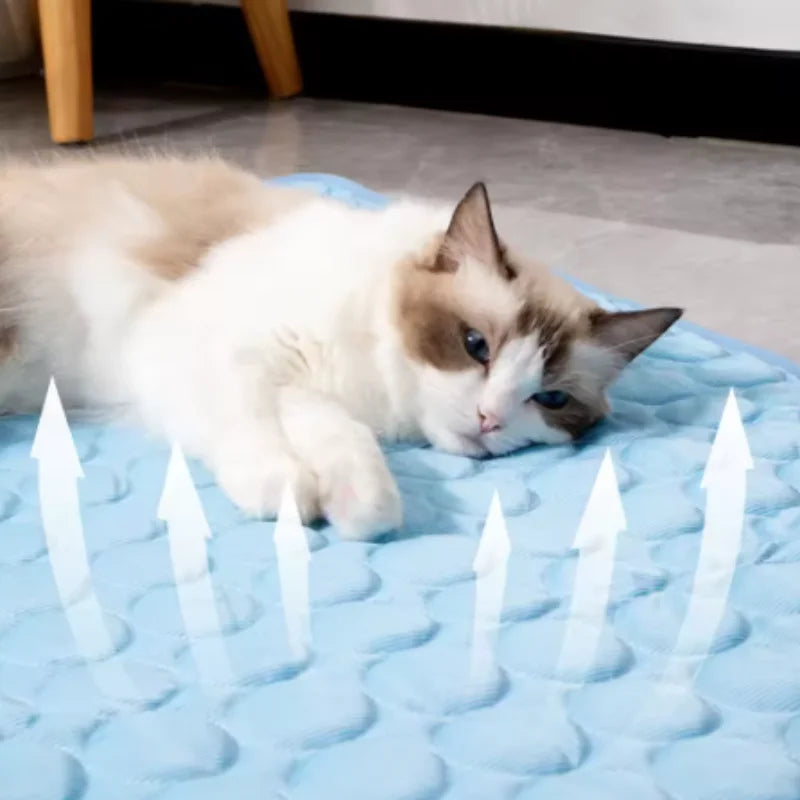 Dog Cooling Pad Summer Pet Ice Bed Extra - ProPawPet.com