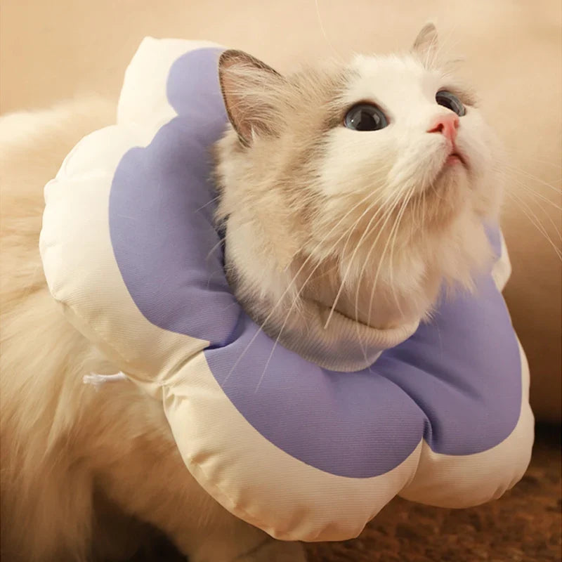 HOOPRT Cat Flower Elizabeth Cotton Neck Pet - ProPawPet.com