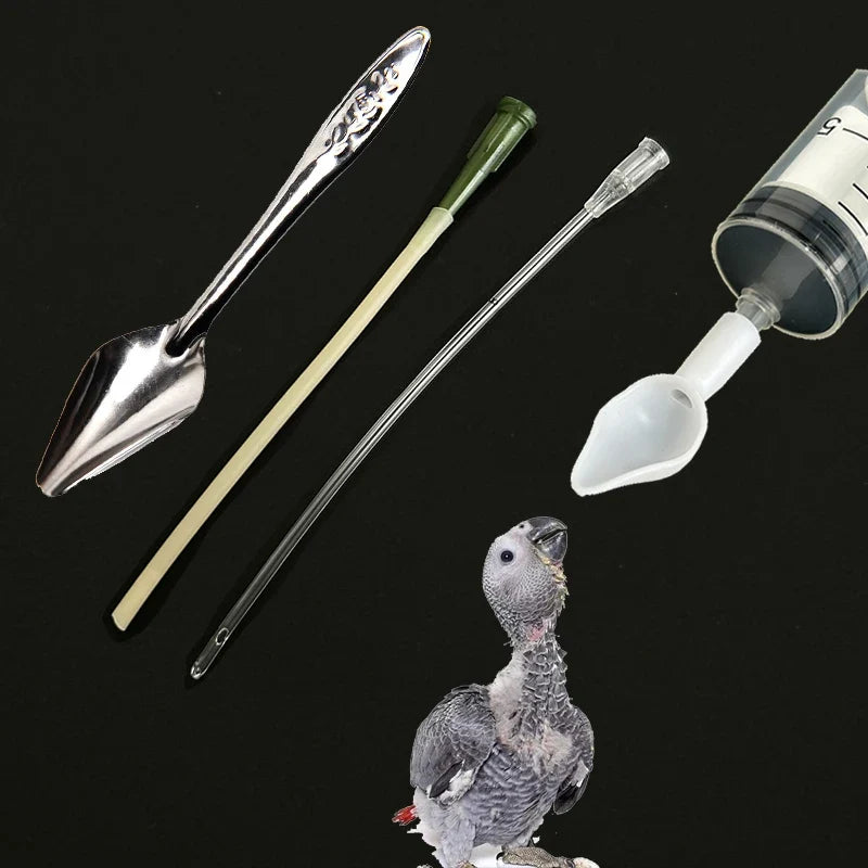 Bird Parrot Feeding Spoon, Baby Parrot - ProPawPet.com