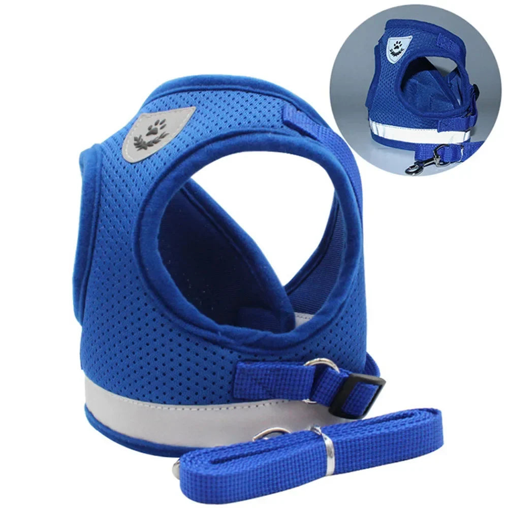 Cat Harness Lead Leash Set Adjustable - ProPawPet.com