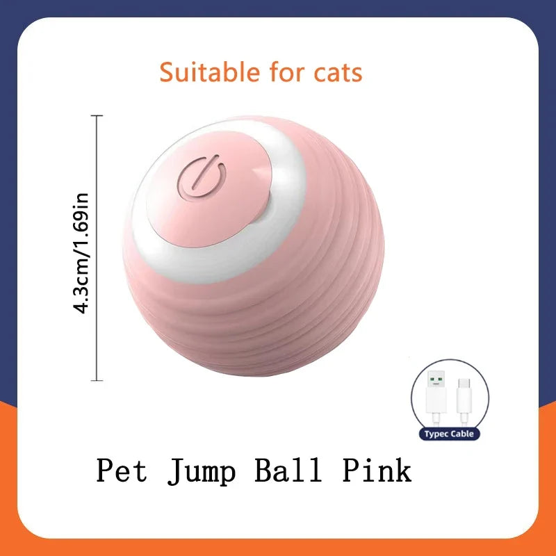 Cat Interactive Ball – Cat Supplies