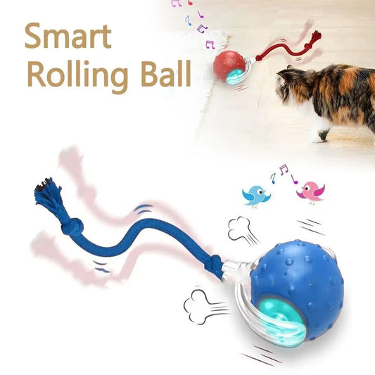 Automatic Smart Cat Toys Fast Rolling - ProPawPet.com