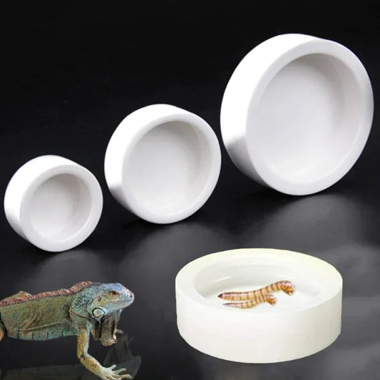 Reptile Food Bowl Anti-Escape Ceramic Feeder - ProPawPet.com