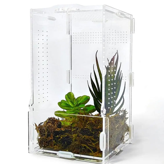 Acrylic Jumping Spider Enclosure Buckle Lock - ProPawPet.com