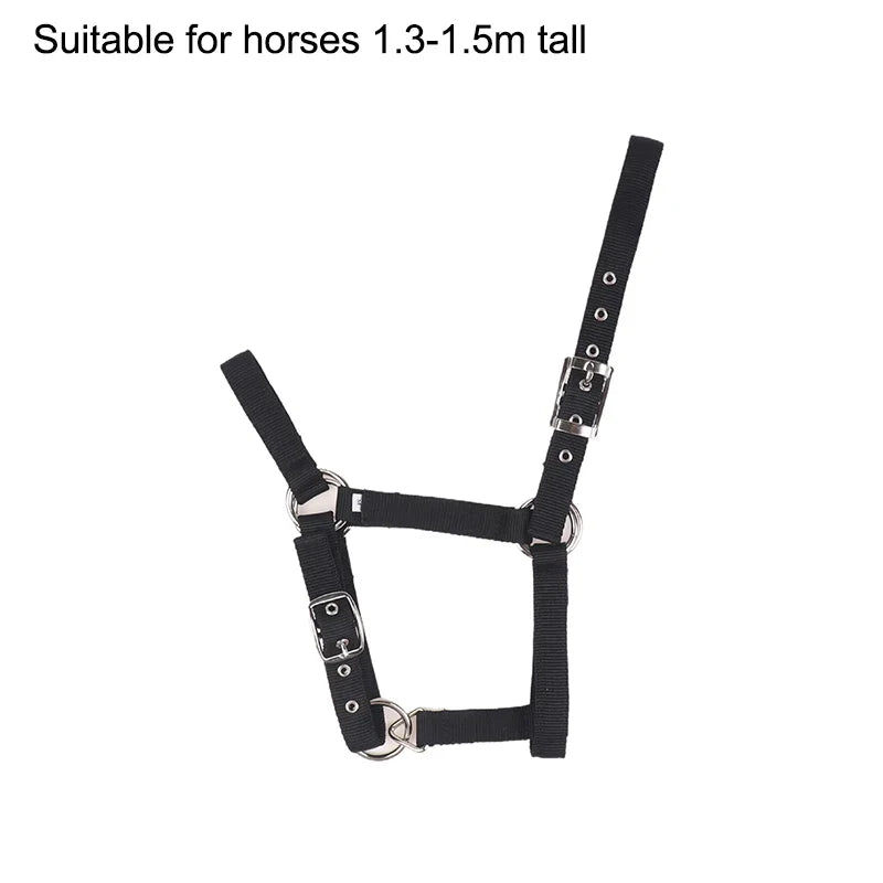 Adjustable Nylon Webbing Equestrian Western Horse Halter – 5 Colors