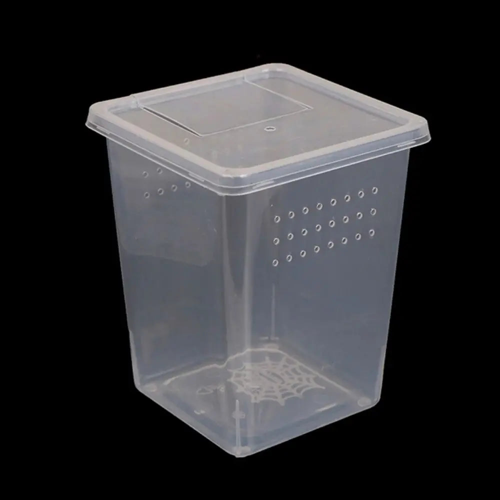 Practical Plastic Reptile Accessories Household Transparent – 3 Colors
