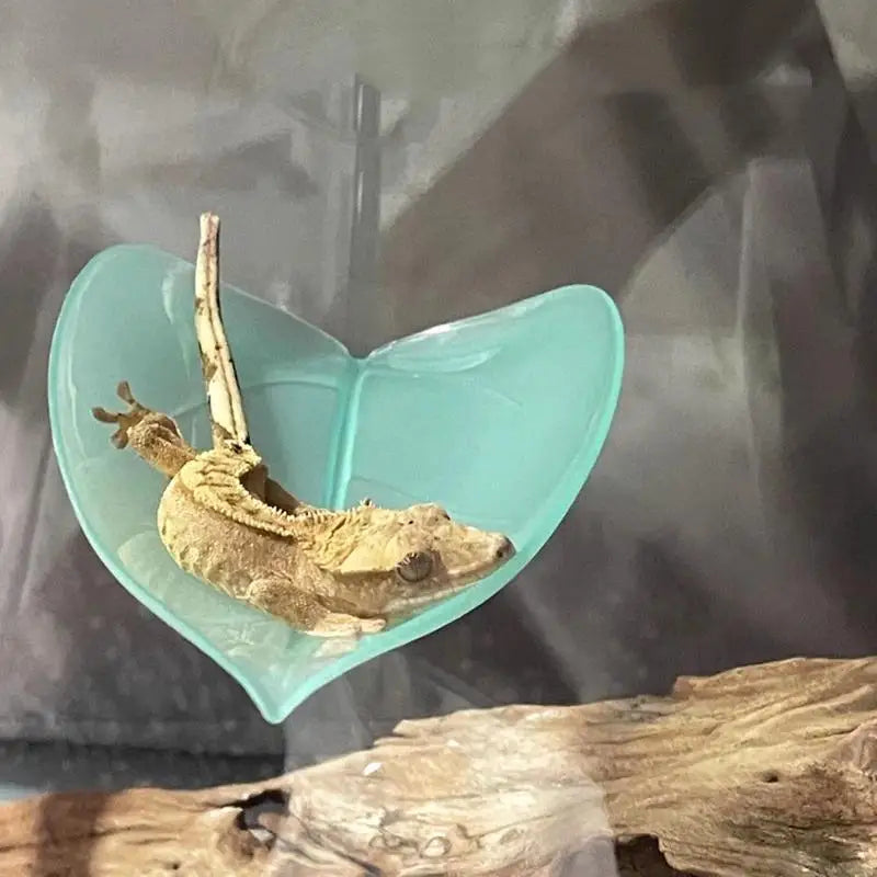 New Reptile Basking Terrace Simulated Leaves - ProPawPet.com