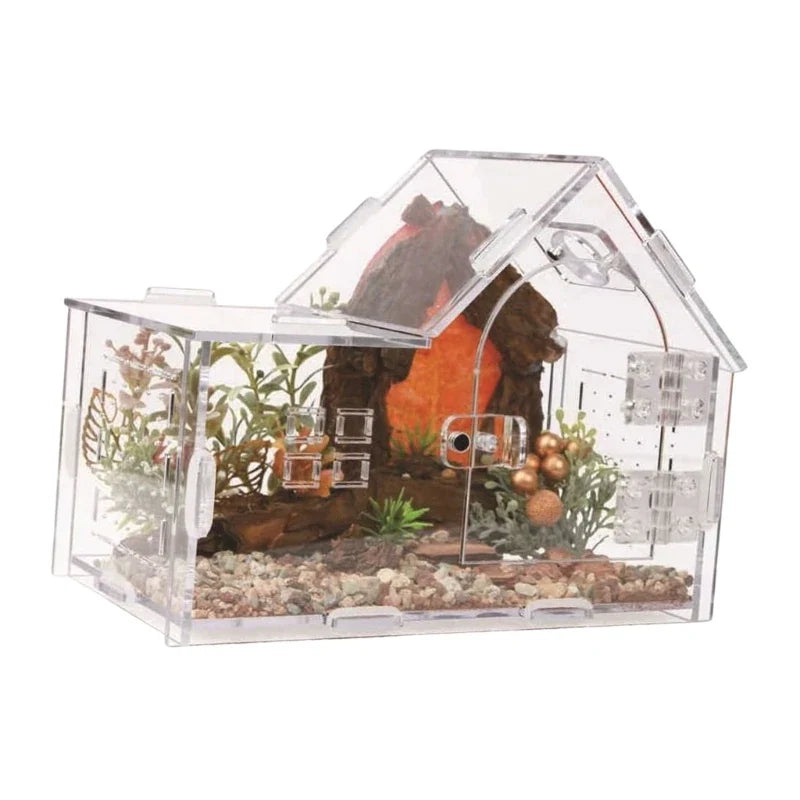 Reptiles Terrarium Clear Observation Design - ProPawPet.com