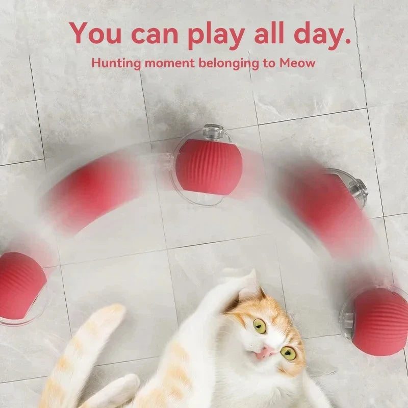 Rechargeable Automatic Rolling Ball Cat Toy - ProPawPet.com